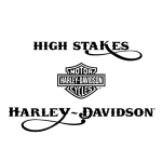High Stakes Harley-Davidson